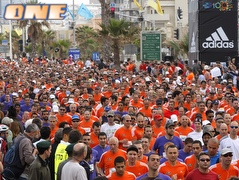 מרתון תל אביב. הצטרף לארגון העולמי (אמיר לוי) (צילום: מערכת ONE)