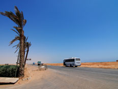 אוטובוס במצרים 1 (צילום: istockphoto)