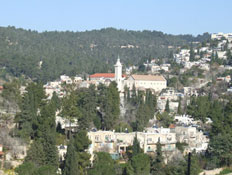 טיול בירושלים: תצפית על עין כרם (צילום: ערן גל-אור)