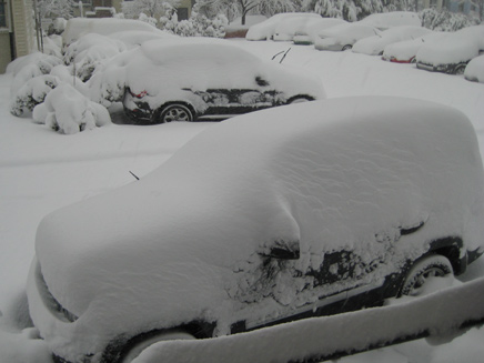 שלג כבד בוושינגטון (צילום: חדשות 2)