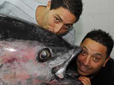 דג טונה במשקל 255 קילוגרם (צילום: אורי  קריספין, אשדוד.נט)