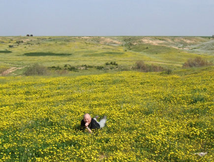 טיולים בנגב: סביונים בשמורת הבשור (צילום: ערן גל-אור)