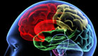 אימון מוחי למוח - להכניס את המוח לכושר (צילום: Yakobchuk, Istock)