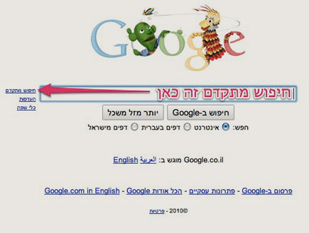 google advanced search (צילום: צילום מסך)