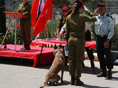 טקס לוחמים וכלבים מצטיינים של יחידת "עוקץ" (צילום: דו"צ)