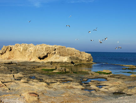 שמורת חוף הבונים (צילום: איילת ניר)