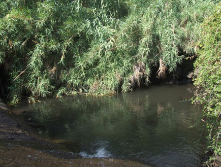 טיולים ברמת הגולן: עין חשק (צילום: ערן גל-אור, מסלולים> להתאהב בארץ מחדש)