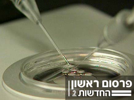 הזוגות בישראל חוששים לביציות (צילום: חדשות 2)