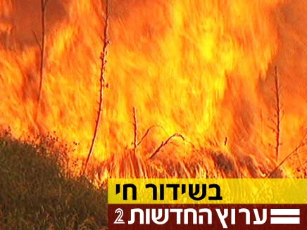 שריפות משתוללות ברחבי הארץ (צילום: חדשות 2)