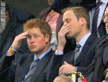 הנסיכים, וויליאם והארי, לא אוהבים את מה שהם רואים (רויטרס) (צילום: מערכת ONE)