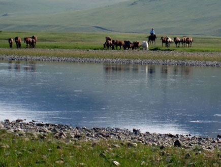 אחו מונגוליה (צילום: האתר הרשמי)