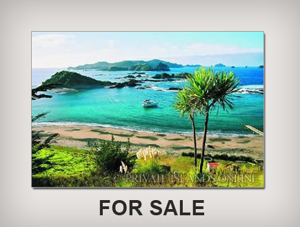 האי מוטוקאואיטי, ניו זילנד (צילום: האתר הרשמי)