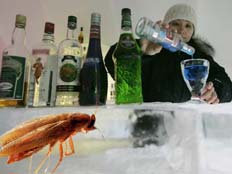 אלכוהול מזויף מסוכן לבריאות. עיבוד תמונה (צילום: pojvistaimage, Shutterstock)