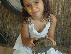 ילדה עם צב חוות התוכים כפר הס (צילום: שירלי אהרון)