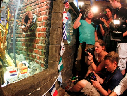 עיתונאים צופים בפול התמנון במהלך המונדיאל (רויטרס) (צילום: מערכת ONE)