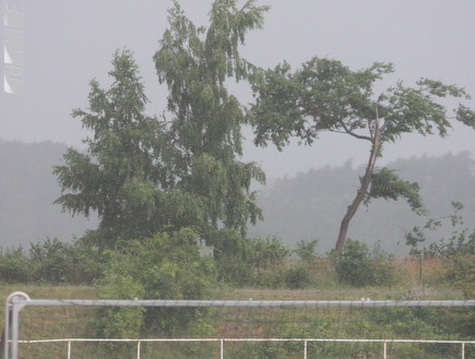 מזג האוויר הסוער (גיא בן זיו) (צילום: מערכת ONE)