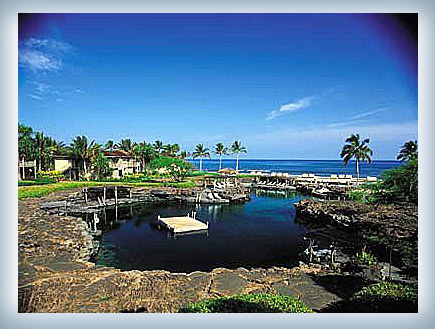 בריכה בהולליי בהוואי (צילום: האתר הרשמי)