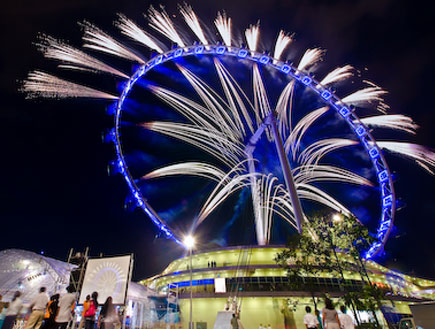 גלגל הענק של סינגפור בלילה (צילום: האתר הרשמי)
