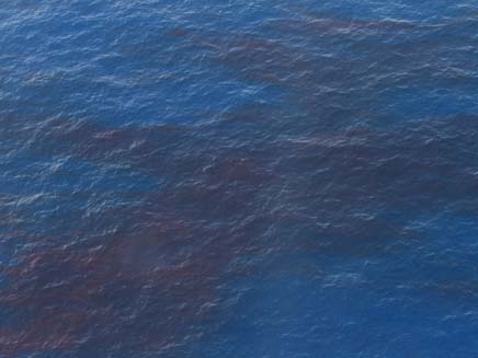 דליפת הנפט במפרץ (צילום: רויטרס)