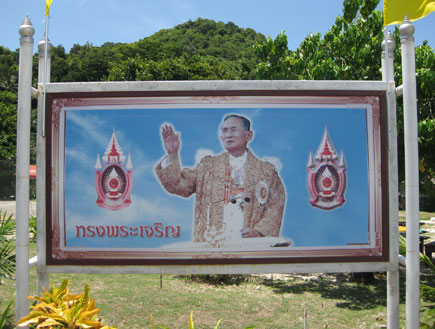 שלט קופיפי תאילנד (צילום: אסתל טסטסה)