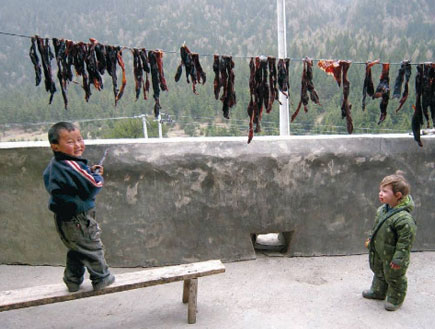 נטע נבות בסין (צילום: ויזואל, אמיר נבות, אדיר נבט, טלי אסא)
