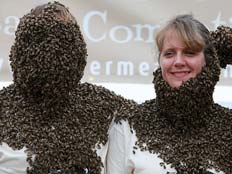 תחרות זקן הדבורים בקנדה (צילום: דיילי מייל)