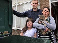 לולה החתולה ומשפחתה (צילום: הסאן)