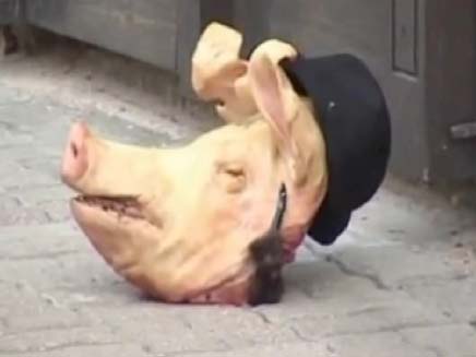 ראש חזיר נזרק ליד בית כנסת בליטא (צילום: חדשות 2)