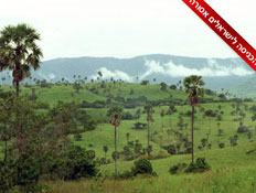 שמורת קומודו באינדונזיה 2 (צילום: האתר הרשמי)