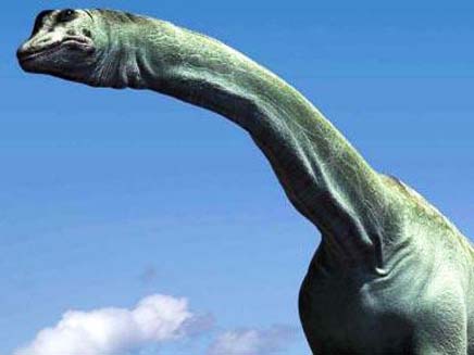 מחקר חדש על מות הדינוזאורים (צילום: telegraph)