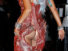 ליידי גאגא, זוכת פרסי ה-mtv' לבושה בבשר חי (צילום: חדשות 2)