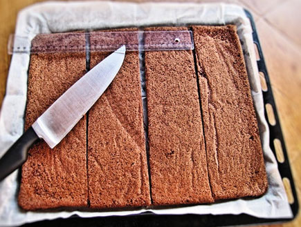 עוגת שוקולד שכבות - חותכים למלבנים (צילום: דליה מאיר, קסמים מתוקים)