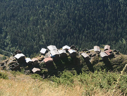 כפר בתושתי גאורגיה (צילום: מאיה קוסובר)