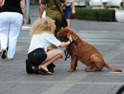 יוליה פולוטקין מטיילת עם הכלב (צילום: אלעד דיין)