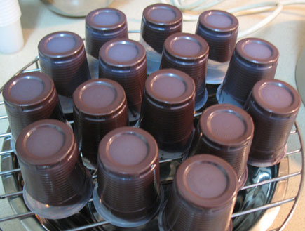 פרלינים ביתיים - כוסות מצופות שוקולד (צילום: motip3, פורום שוקולד בתפוז)