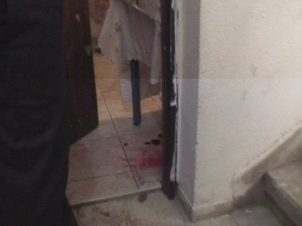 רצח והתאבדות של בני זוג בדירה בפ"ת (צילום: חדשות2)