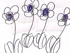 פרחים פרחים