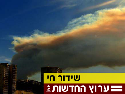שריפה בכרמל (צילום: חדשות 2)