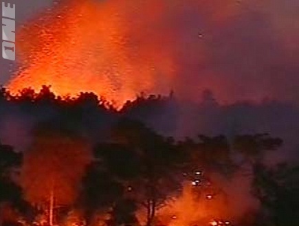 השריפה (חדשות ערוץ 2) (ONE) (צילום: מערכת ONE)