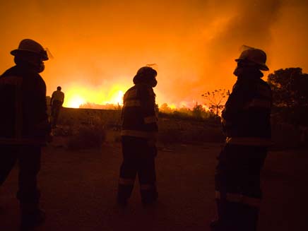 אסון, חיפה, כרמל, שריפה (צילום: AP)