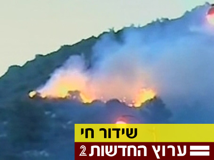 השריפה ליד טירת הכרמל (צילום: חדשות 2)