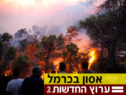 שריפת ענק בכרמל (צילום: חדשות 2)