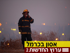 שריפת ענק בכרמל, כבאי (צילום: חדשות 2)