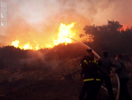 הכבאים מנסים להשתלט על האש בכרמל (רויטרס) (צילום: מערכת ONE)
