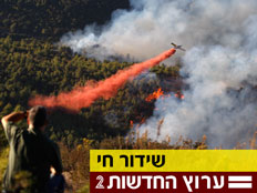 שריפת ענק בכרמל (צילום: חדשות 2)
