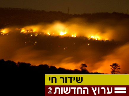 שריפה אסון בכרמל (צילום: חדשות 2)