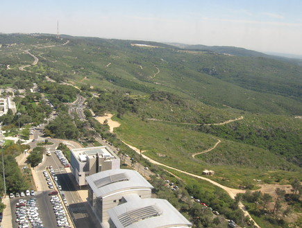 יערות הכרמל מבט מלמעלה (יח``צ: קרן קיימת לישראל)