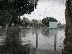 גשום גם היום (צילום: חדשות 2)