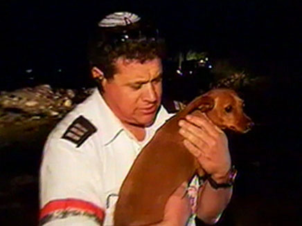 איש מד"א מחזיק את כלבתה של ווילסון (צילום: חדשות 2)