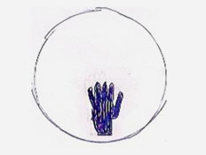 גרפולוגיה - תמרור עצור עם יד קטנה מושחרת גרפולוגיה - תמרור עצור עם יד קטנה מושחרת